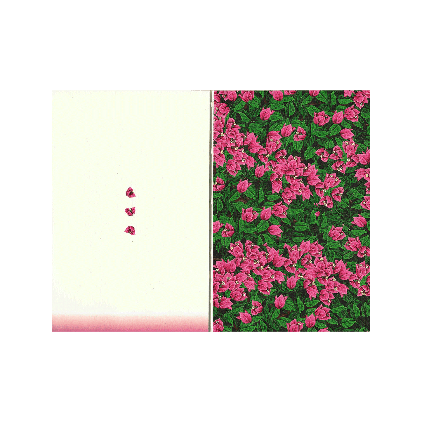 Big Notebook - Bugambilya