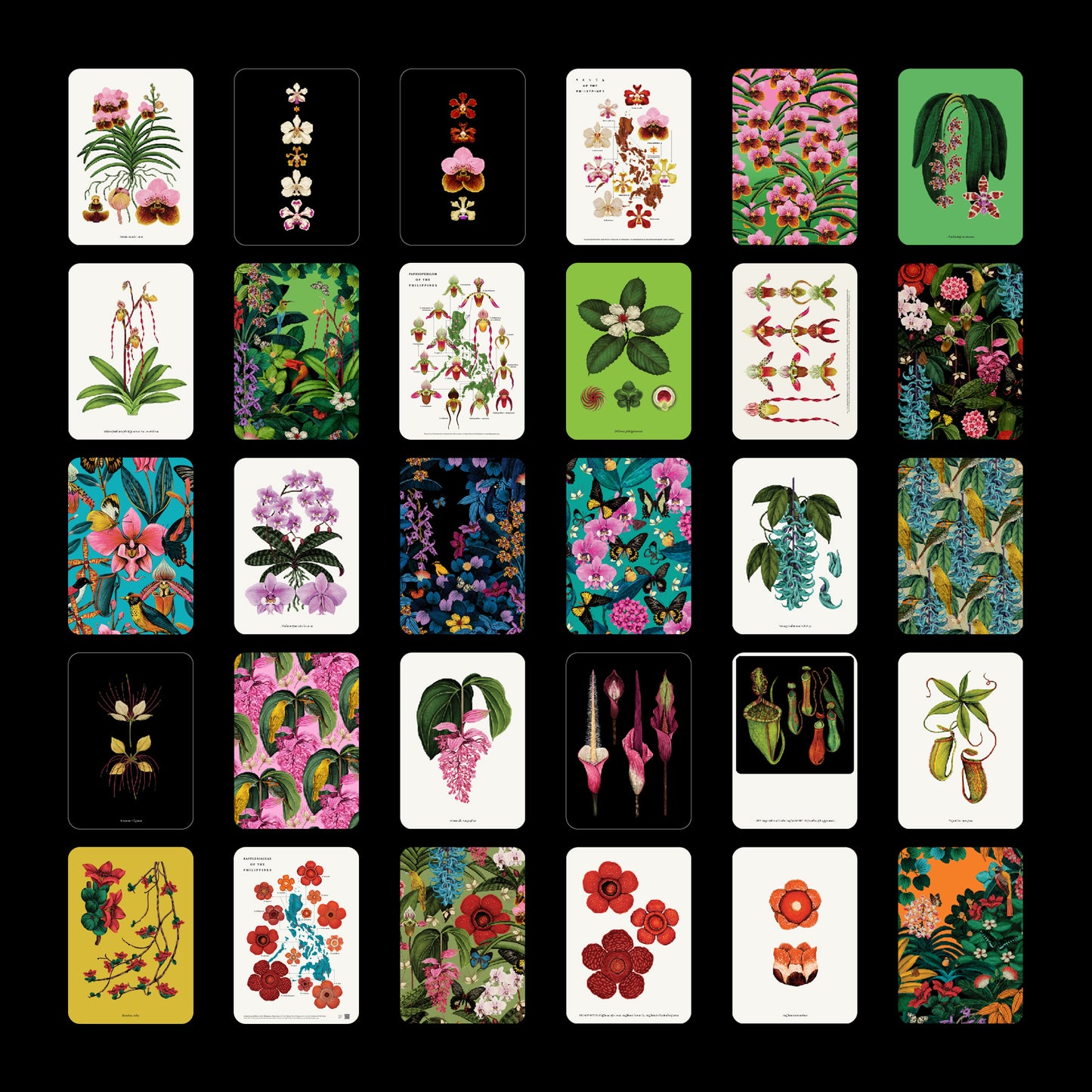Terra Flora - Second Edition