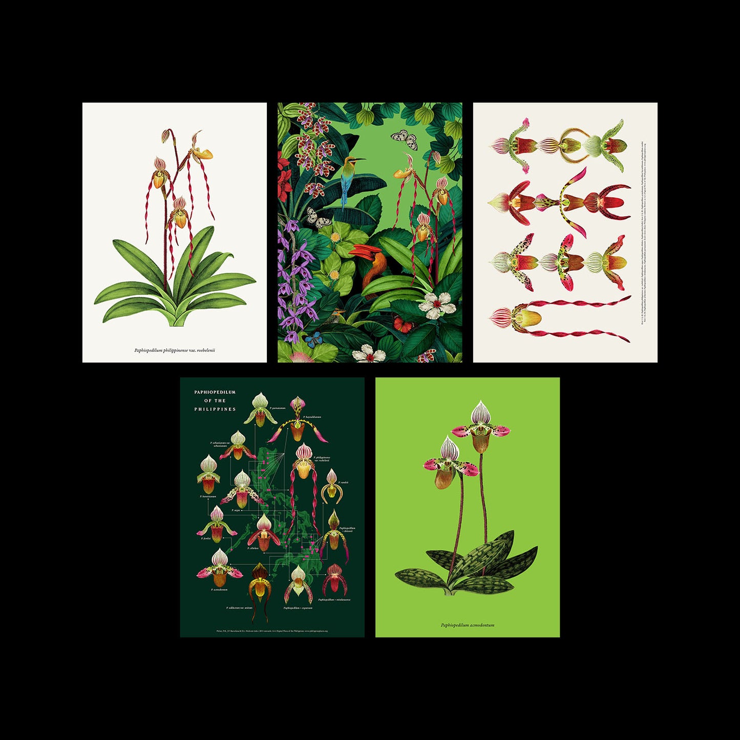 Set of 5 Postcards - B