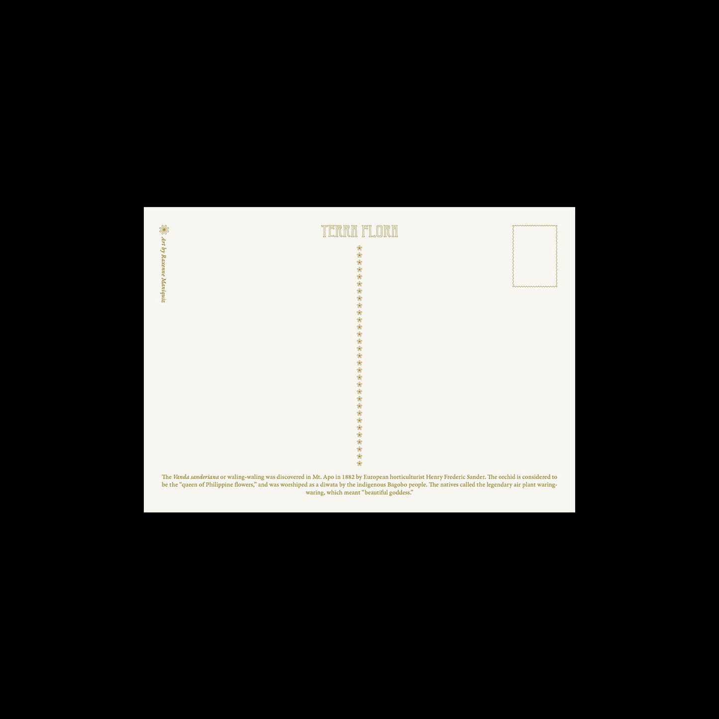 Set of 5 Postcards - E