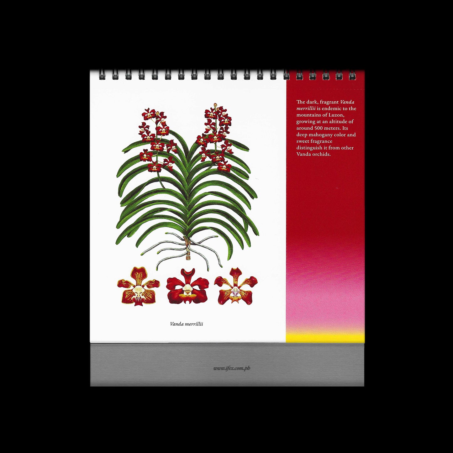 2025 Desk Calendar - Mindanao