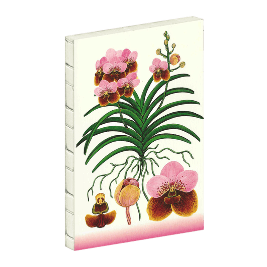 Big Notebook - Waling-waling